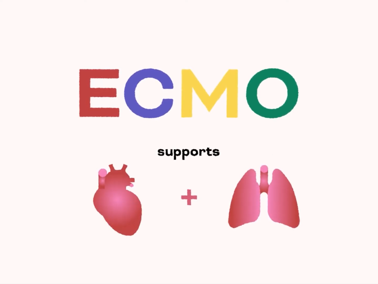 A title card with the words 'ECMO supports' above a picture of the heart and lungss